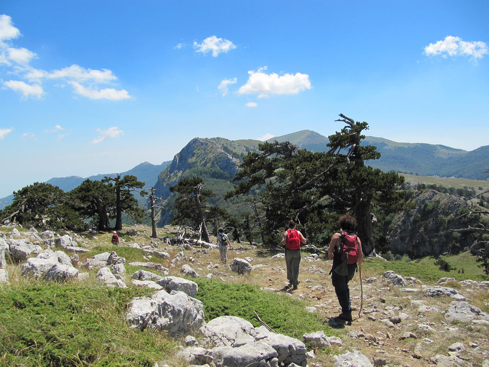 Trekking