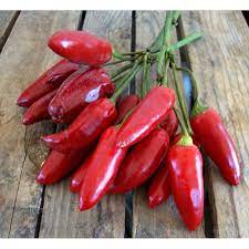 Peperoncino calabrese